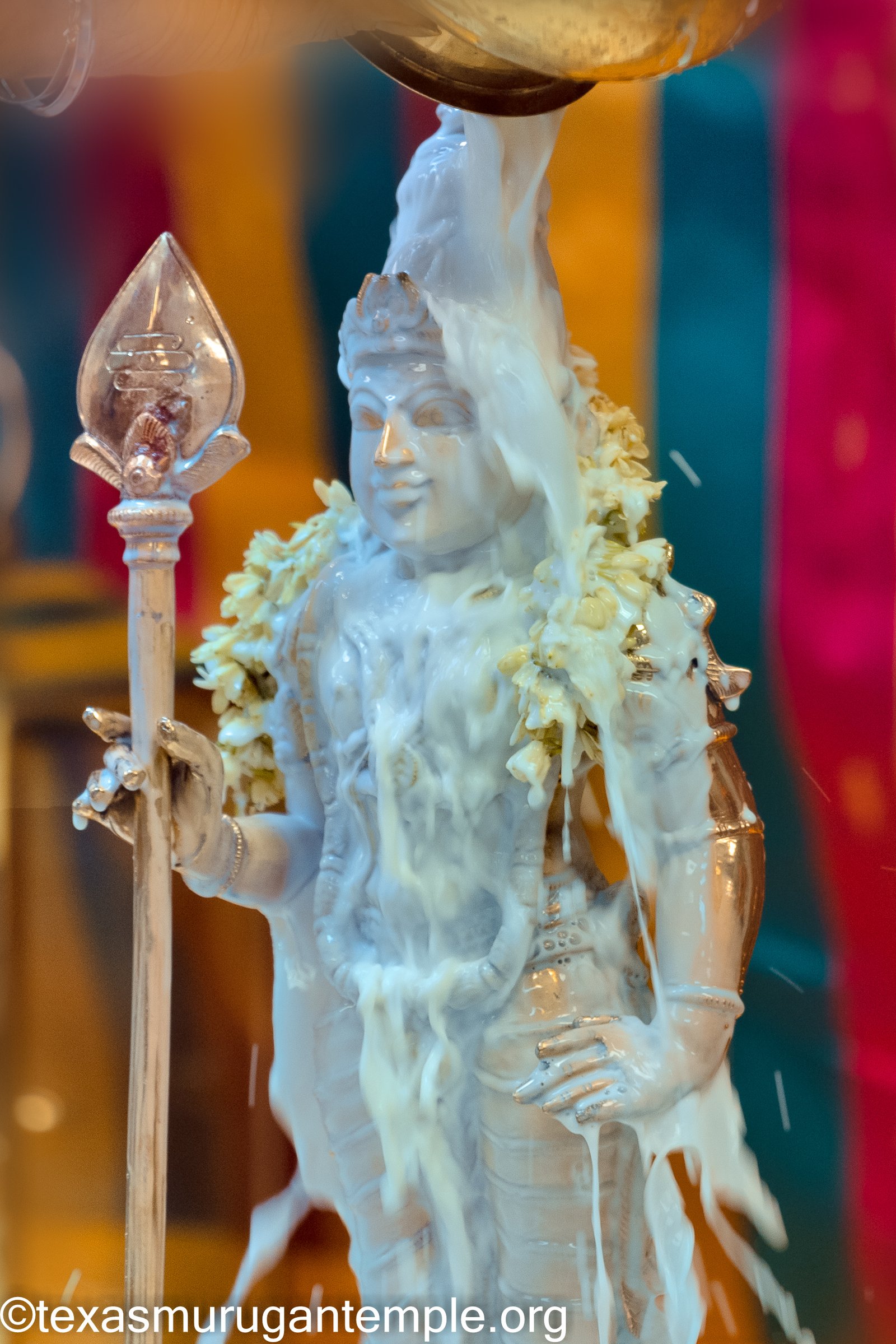 IMG-5294-Edit.jpg